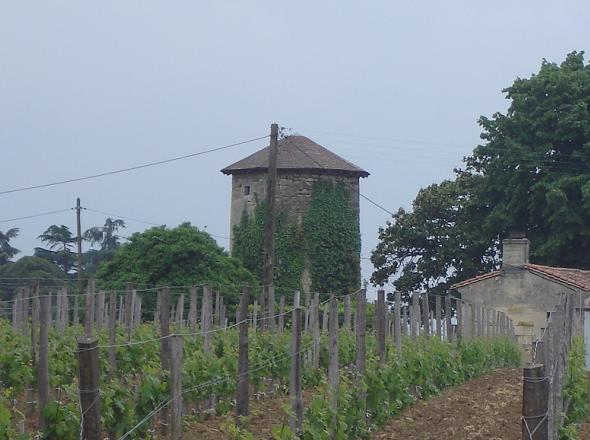Moulin prs de Bourg St Gironde