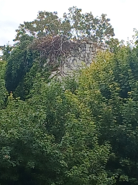 Ancien moulin de Bussy le Ch�teau