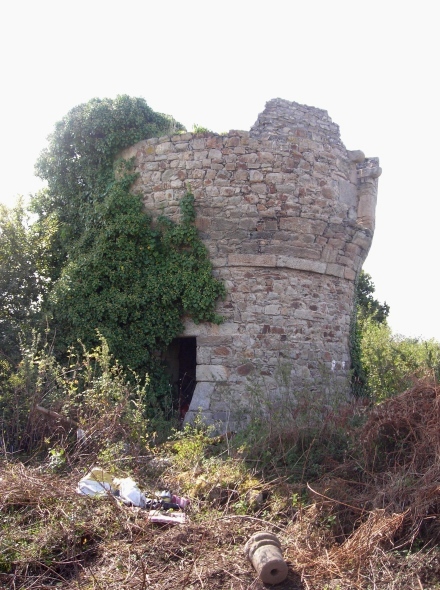 Moulin de la chtaignire - Frel