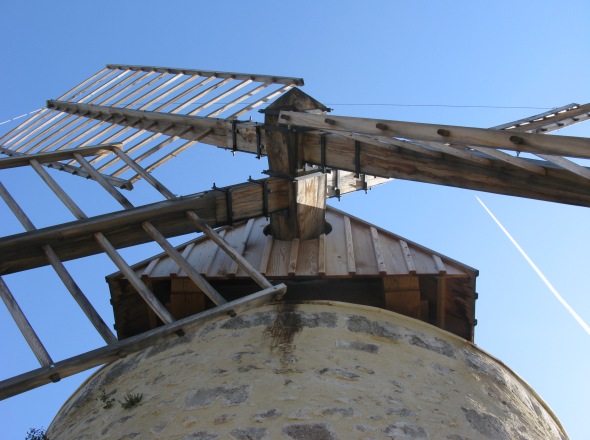 Tête d'arbre du moulin Tissot-Avon