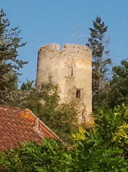 Ancien moulin  Houx