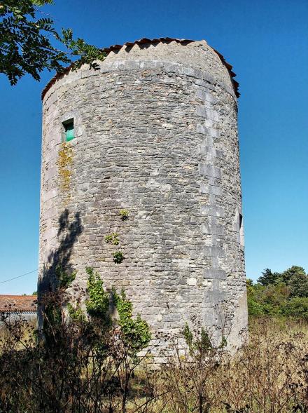 Moulin de la Cte - Le Chteau d'Olron