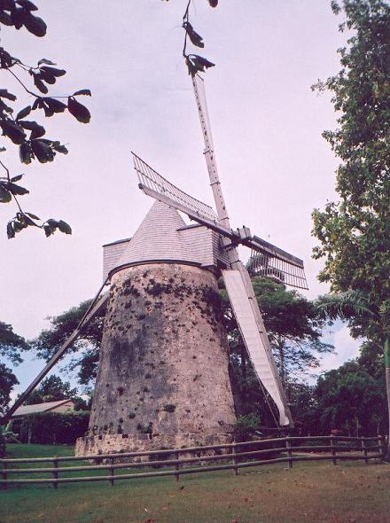 Moulin du Moule - Distillerie Damoiseau