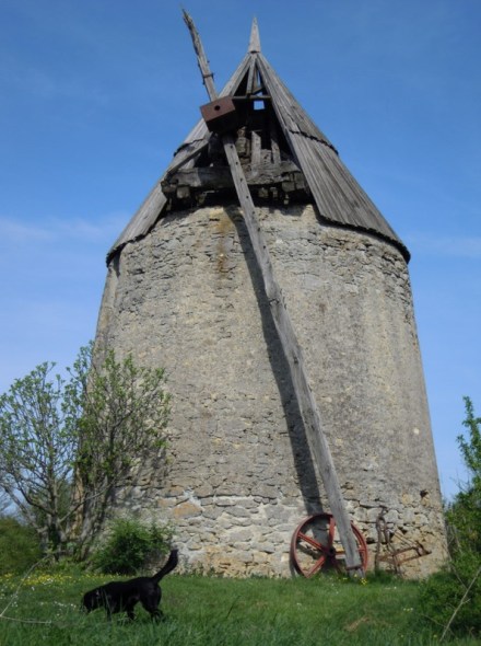 Moulin En Cone - Les Casss