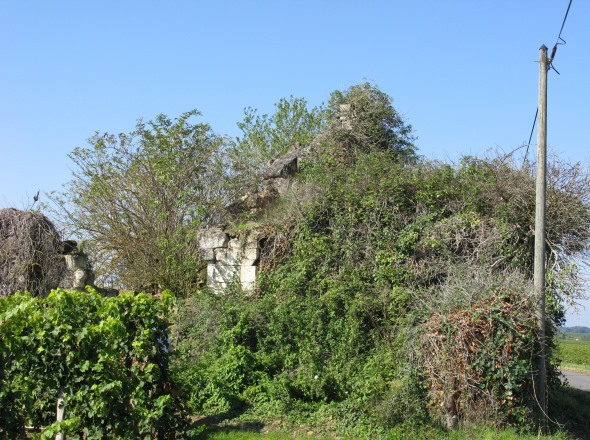 Un moulin cavier en ruine sur la route du Moulin de la Perruche  une centaine de mtres