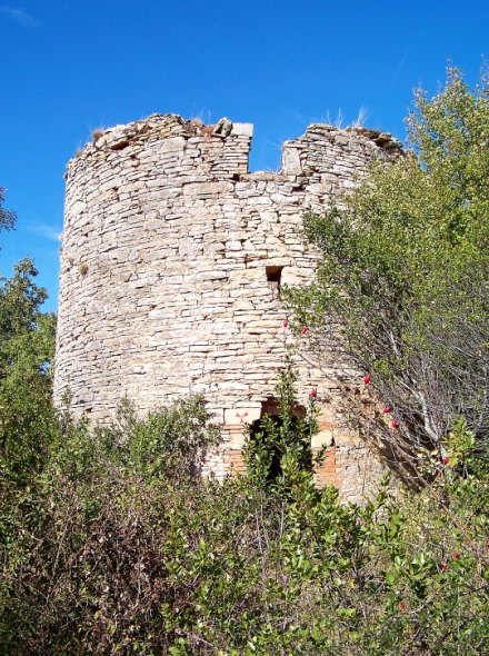 Moulin de la Janade - Puycelci