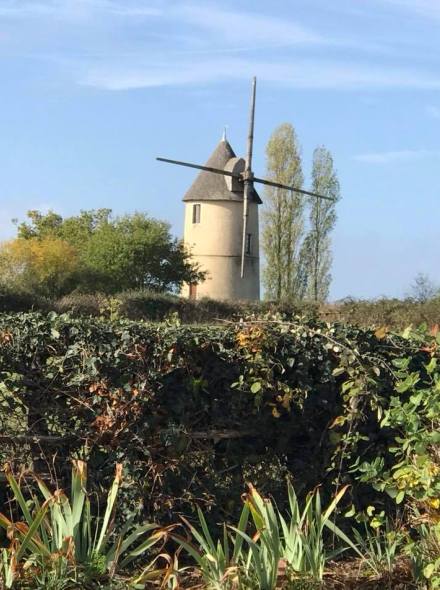 Le moulin Martin avec ses ailes  moiti dmontes.