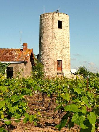 Le moulin neuf - St Hilaire de CLisson