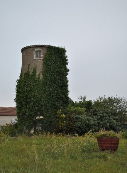 Moulin de Sion - St Hilaire de Riez