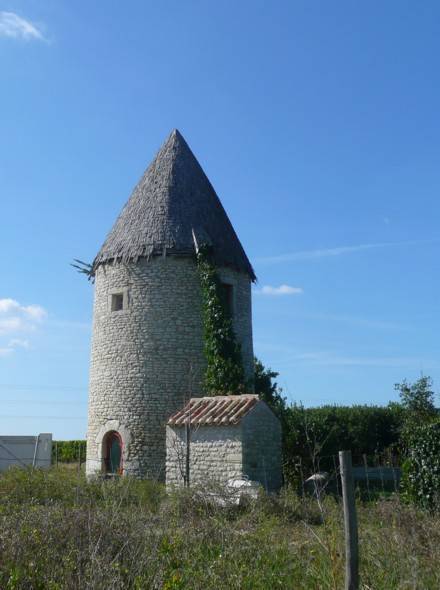 Moulin de la Pierre Leve - La Cotinire, autre vue