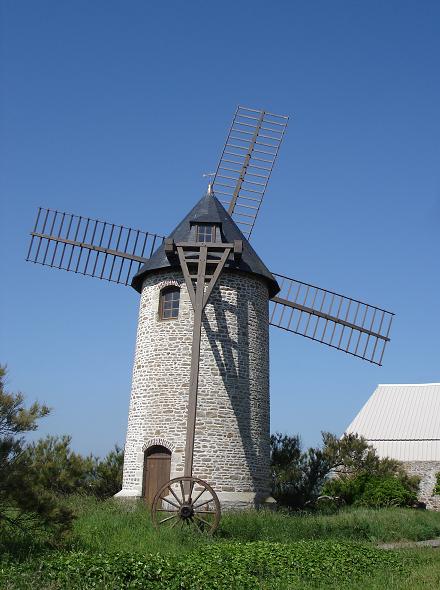 Moulin de St Vaast la Hougue - derrire