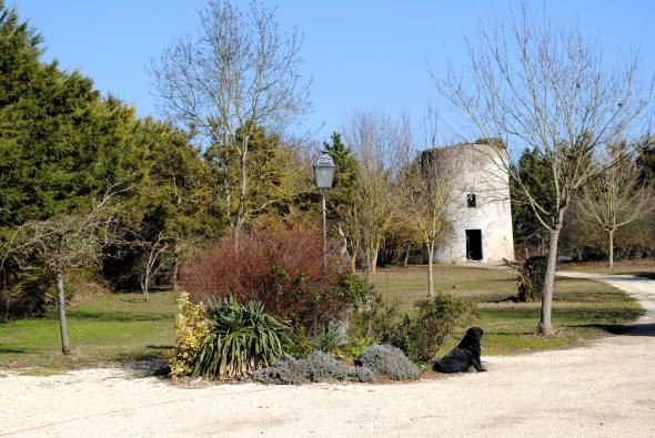 Moulin de Pontreau - Thair