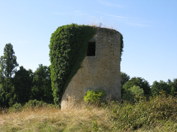 Moulin de la Moulinade - Cartelègue
