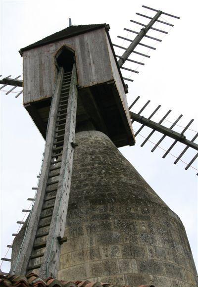 Moulin du Puy d'Ardanne - échelle, hucherolle