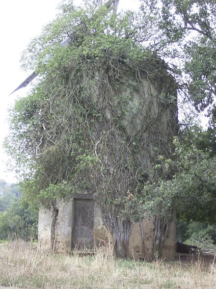 Ancien moulin tour à Glénay