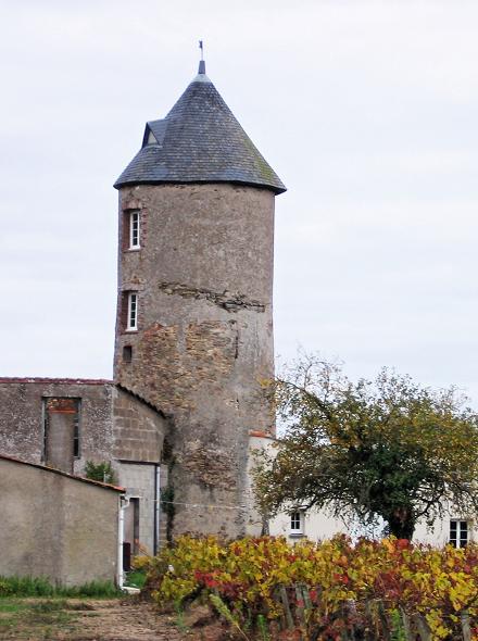 Moulin du Douet Rouaud - Le Loroux Bottereau