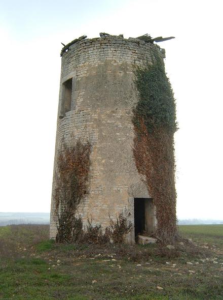 Moulin en ruine à Loiré sur Nie