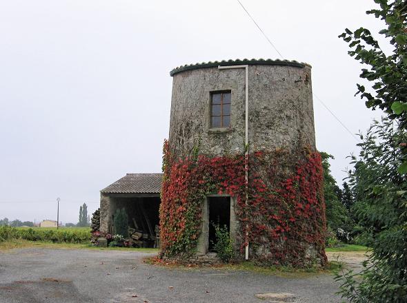 Moulin des Noues - Maisdon sur Svre