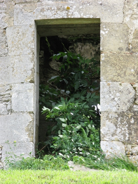 L'une des portes dumoulin où apparaît une importante végétation