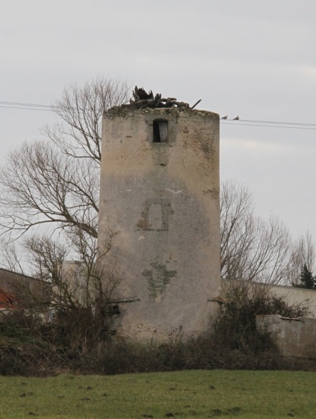 Moulin des Loires Noires - Notre Dame de Monts