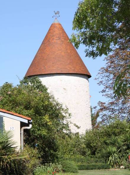 Moulin du Terrier Haut - Pisany