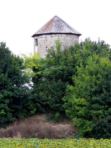 Moulin de Grand Champ - Puymiclan