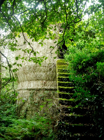 L'escalier du moulin petit pied de la Beurne