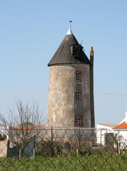 Moulin situ  La Bourrie - Sallertaine