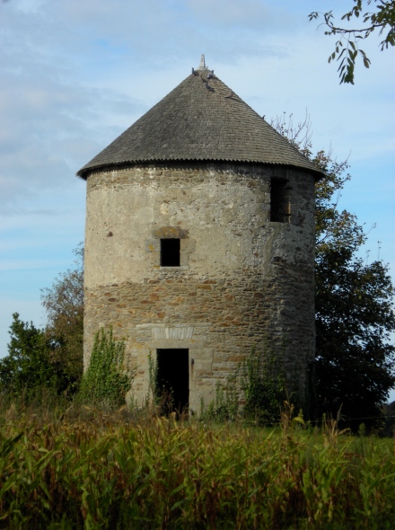 Moulin du Tertre - St Jouan des Guérets