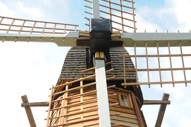 Tête de l'arbre du moulin de l'Aile - St Martin au Laert