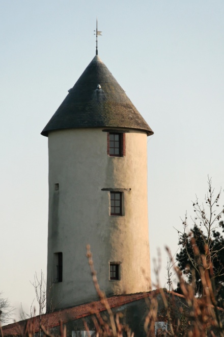 Moulin d'Auray - Thouar sur Loire