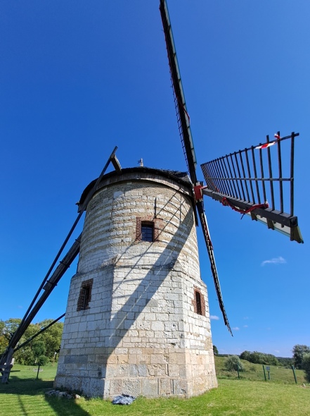 Moulin de la Montagne - Watten - aot 2023
